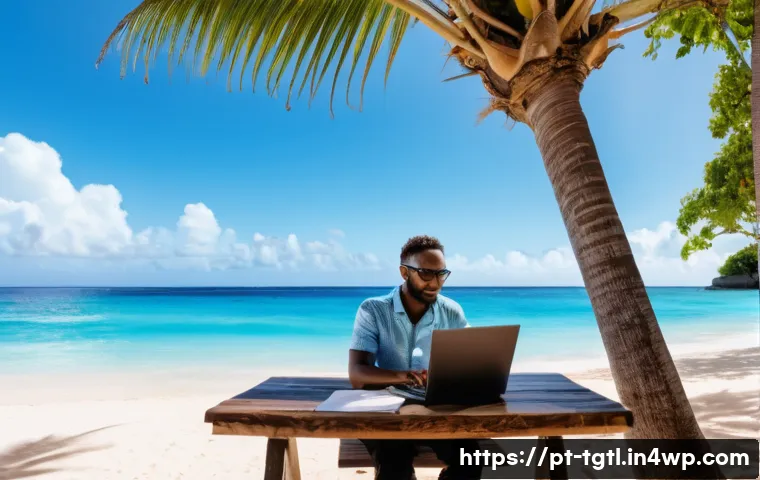 7 dicas essenciais para obter visto e passaporte ideal para nômades digitais em 2024 4 디지털 노마드를 위한 여권 및 비자 정보 관련 이미지 2